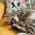 Lilibeth