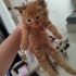 Balım