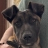 Lucy