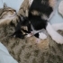 İsmi yok