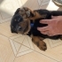 Ares