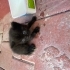 zeytin