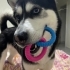 Yuki