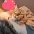 Mimi