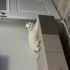 Casper