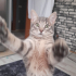 Duman