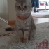 Bella