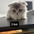 Minnoş