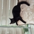 Jiji