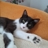 Mickey