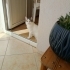 Kaymak