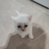 Casper