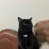 Zeytin