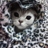 Haru