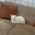 Ajda