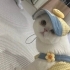 Ciro