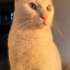 Lucy