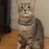 Oliver
