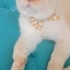 yuki