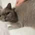 Lila