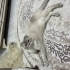 Bulut