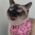 Hera