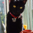 Zeytin