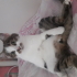 Zeynep