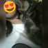 Pamuk