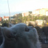 Casper