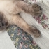 Bubu