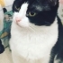 Mili