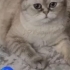 Liza