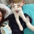 Cüli