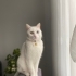 Miya