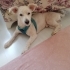 Erik