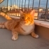 Faramir