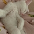 Pamuk
