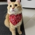Juanito