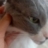 Tony