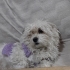Betty