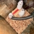 Hamster