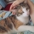Mira