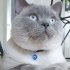 Pablo