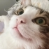 Simba