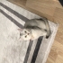 Molly