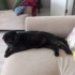 zeytin
