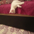 Pamuk