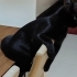 Zeytin