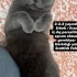 Duman